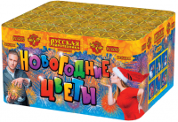 Новогодние цветы Фейерверк купить в Светлогорске | svetlogorsk.salutsklad.ru