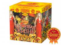 Красивая жизнь Фейерверк купить в Светлогорске | svetlogorsk.salutsklad.ru