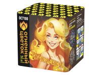 С огоньком! Фейерверк купить в Светлогорске | svetlogorsk.salutsklad.ru