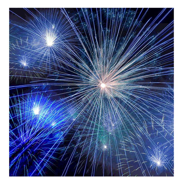 Организация фейерверков на Новый год  Светлогорск | svetlogorsk.salutsklad.ru