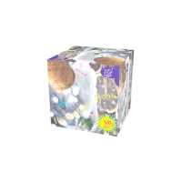 Новогодняя ночь Салют купить в Светлогорске | svetlogorsk.salutsklad.ru