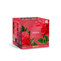 Пионы Салют купить в Светлогорске | svetlogorsk.salutsklad.ru