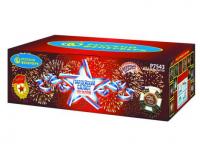 Гвардейский салют Салют купить в Светлогорске | svetlogorsk.salutsklad.ru