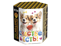 Счастье есть! Салют купить в Светлогорске | svetlogorsk.salutsklad.ru