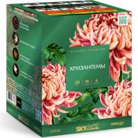 Хризантемы Фейерверк купить в Светлогорске | svetlogorsk.salutsklad.ru