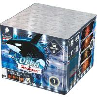 Косатка Фейерверк купить в Светлогорске | svetlogorsk.salutsklad.ru