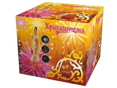 Хризантема Салют купить в Светлогорске | svetlogorsk.salutsklad.ru