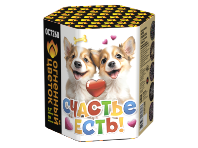 Счастье есть! Салют купить в Светлогорске | svetlogorsk.salutsklad.ru