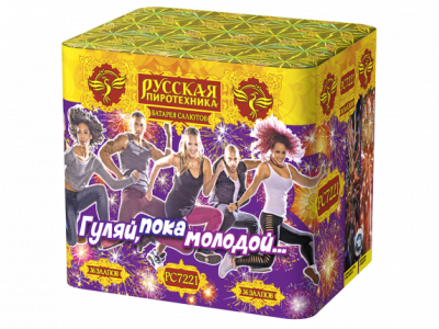 Гуляй, пока молодой Салют купить в Светлогорске | svetlogorsk.salutsklad.ru