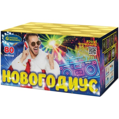 Новогодиус Фейерверк купить в Светлогорске | svetlogorsk.salutsklad.ru